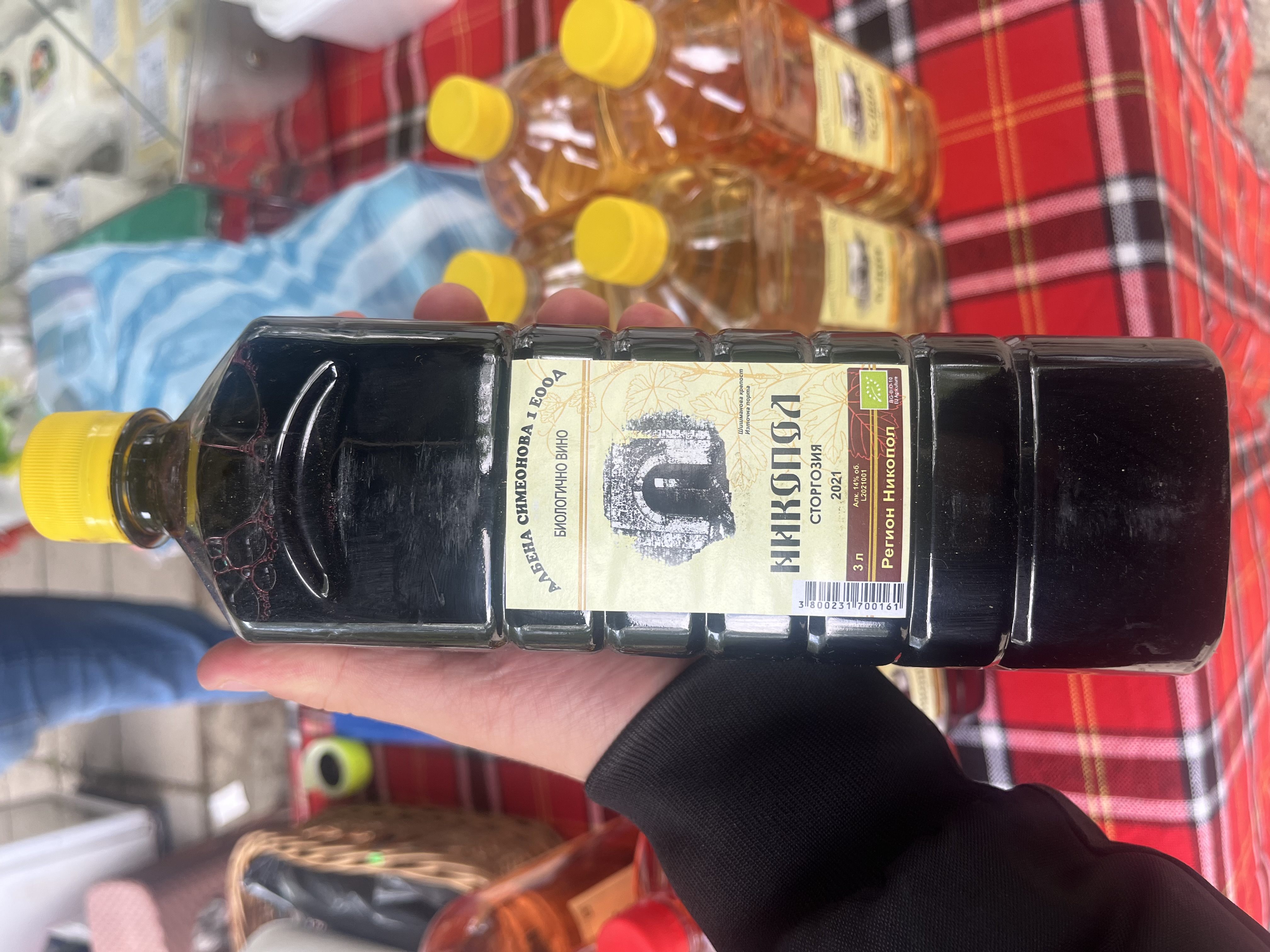 Сторгозия 2021- ,,Nikopol"
